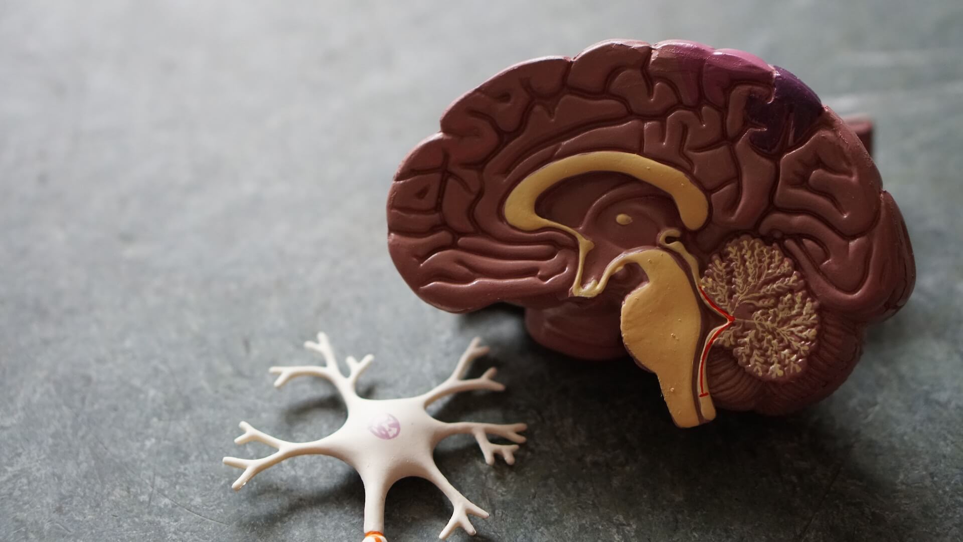 Cómo la terapia con oxígeno hiperbárico puede ayudar a los niños con parálisis cerebral image